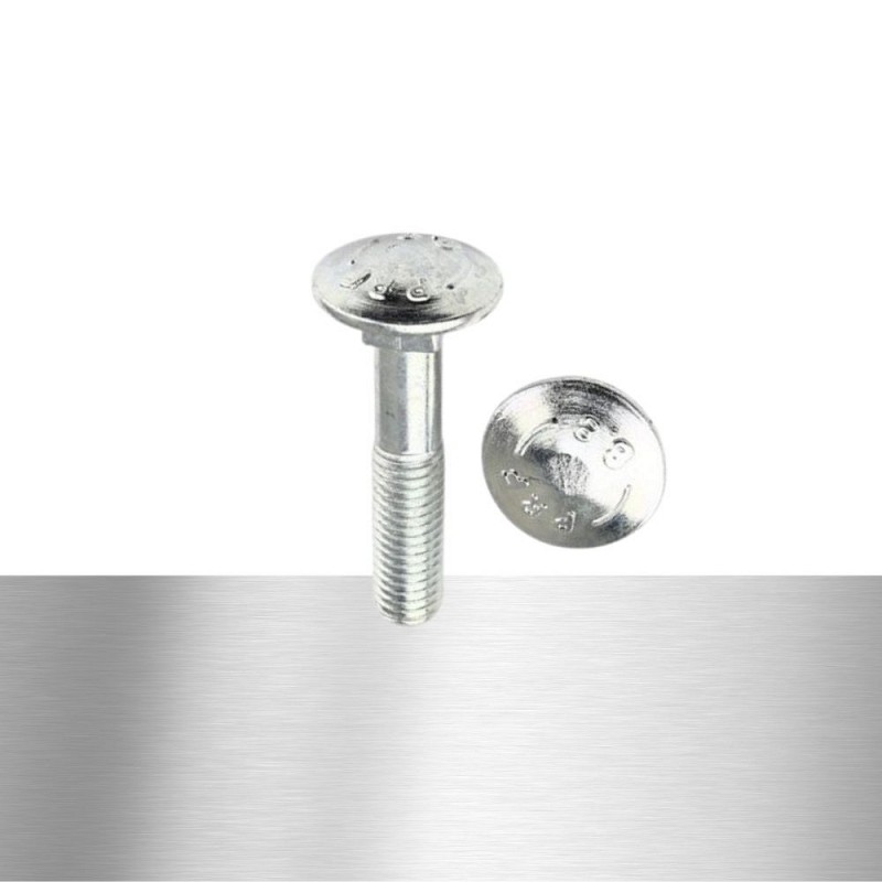 Vijak sponski | DIN 603 | Inox